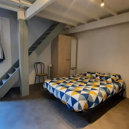 Promo 6-13juin 4personnes Toulouse 15mn 3 Lits Cuisine Sde Wc Apartment Montastruc-la-Conseillère