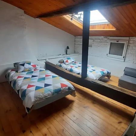 Promo 6-13juin 4personnes Toulouse 15mn 3 Lits Cuisine Sde Wc Montastruc-la-Conseillère