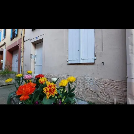 Appartement Promo 6-13juin 4personnes Toulouse 15mn 3 Lits Cuisine Sde Wc *
